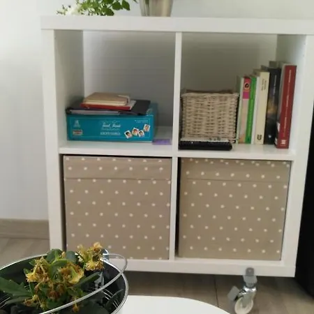 Kaixo Museum Con Parking Gratis Zarautz