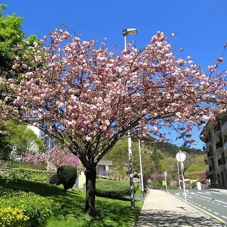 Apartament Kaixo Museum Con Parking Gratis