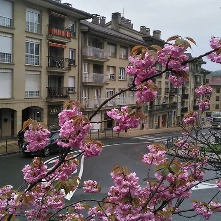 Kaixo Museum Con Parking Gratis Apartment *