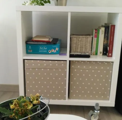 Kaixo Museum Con Parking Gratis Zarautz