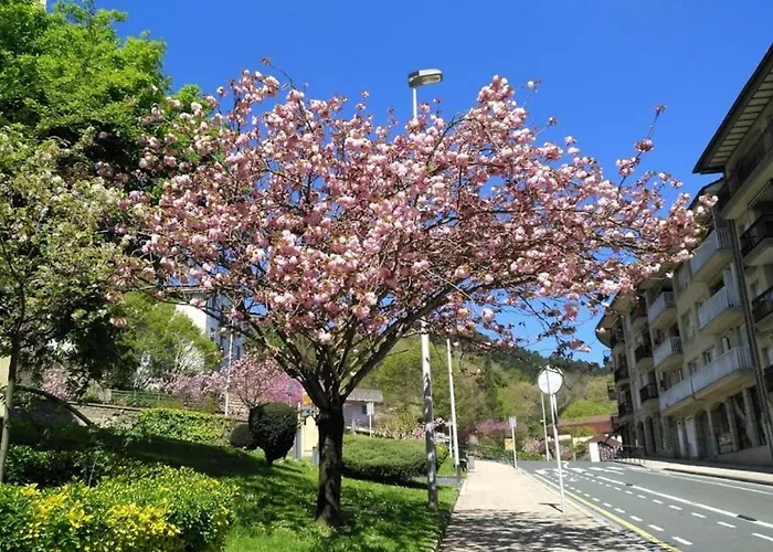 Apartment Kaixo Museum Con Parking Gratis