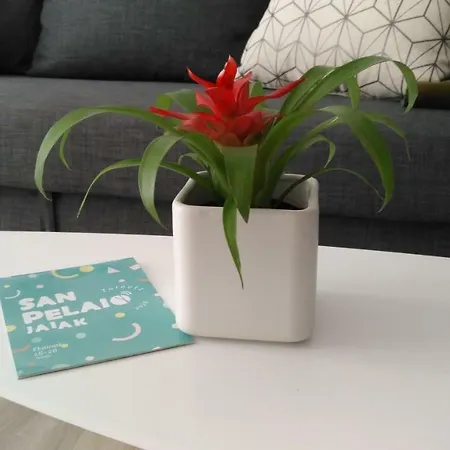 Kaixo Museum Con Parking Gratis * Zarautz